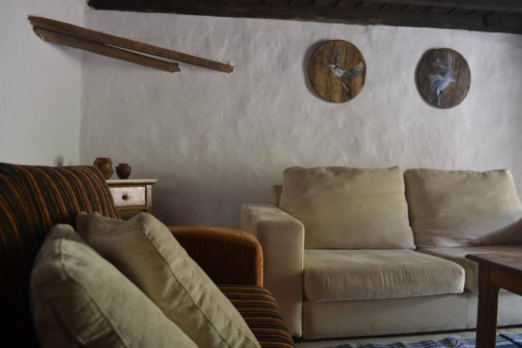 Casa Rural Lomito Del Pino تيخيدا المظهر الخارجي الصورة