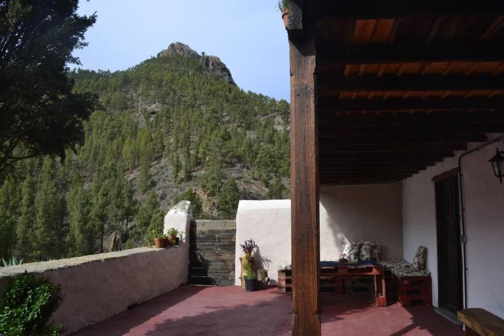 Casa Rural Lomito Del Pino تيخيدا المظهر الخارجي الصورة