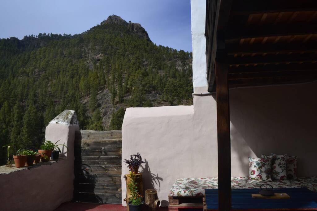 Casa Rural Lomito Del Pino تيخيدا المظهر الخارجي الصورة