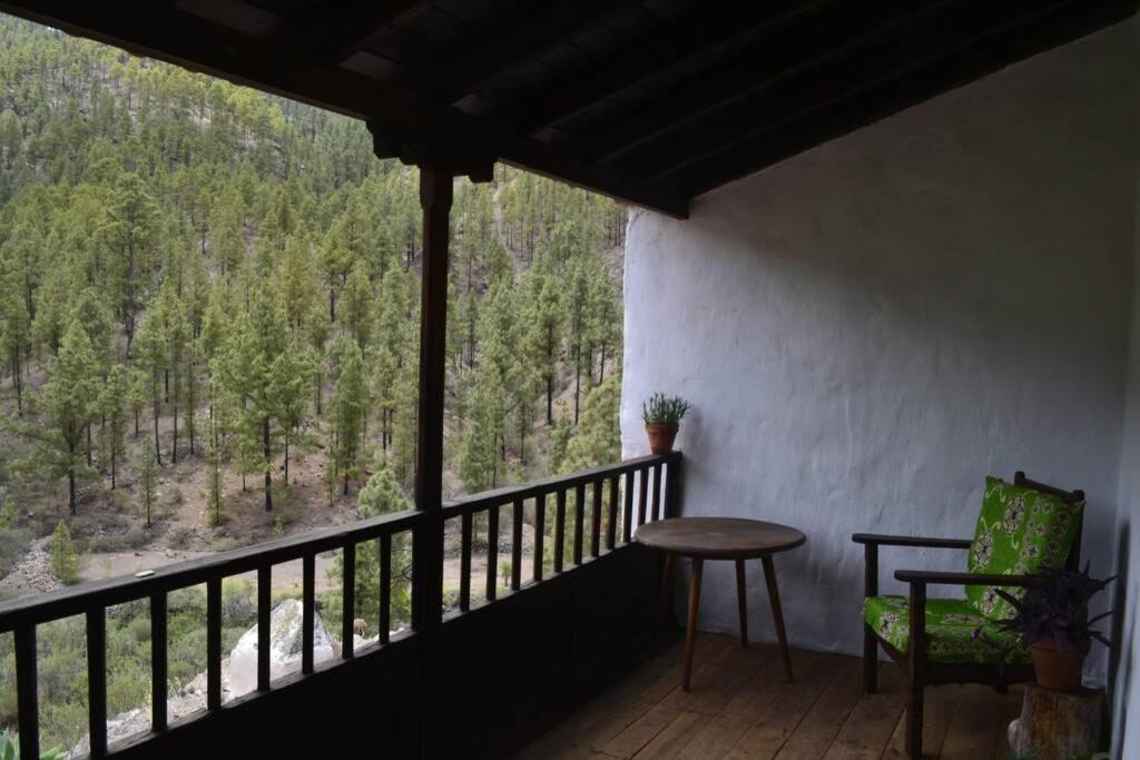 Casa Rural Lomito Del Pino تيخيدا المظهر الخارجي الصورة