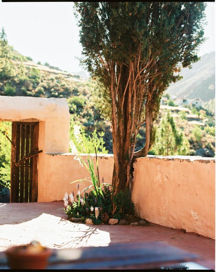 Casa Rural Lomito Del Pino تيخيدا المظهر الخارجي الصورة