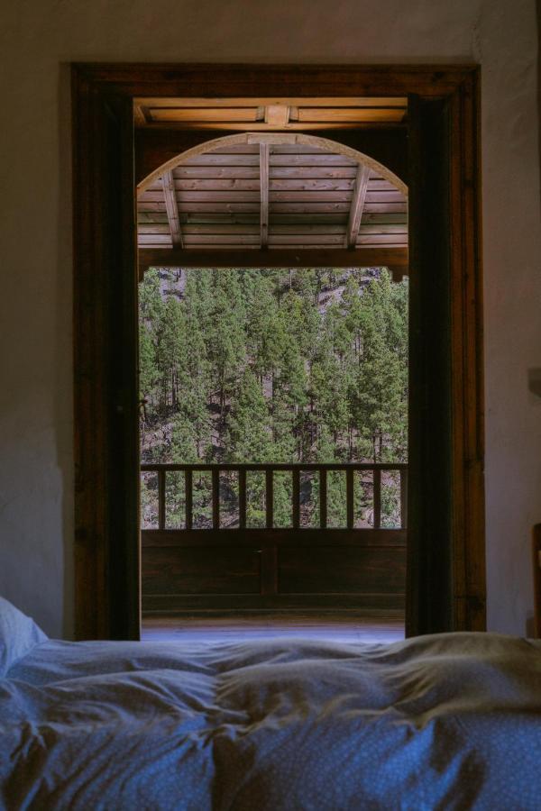 Casa Rural Lomito Del Pino تيخيدا المظهر الخارجي الصورة